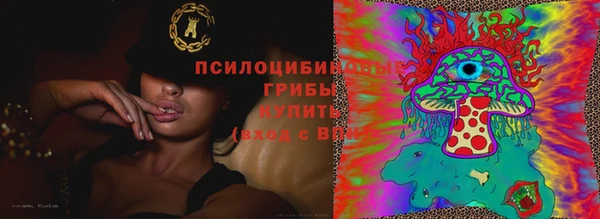 spice Алексеевка
