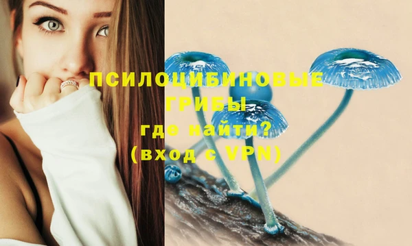 стаф Новодвинск