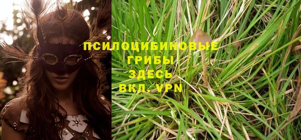 дурь Покровск