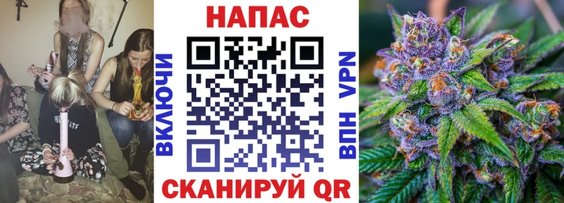 Конопля Bruce Banner  Брюховецкая 